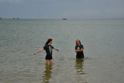 DSC_5414 (Large).JPG